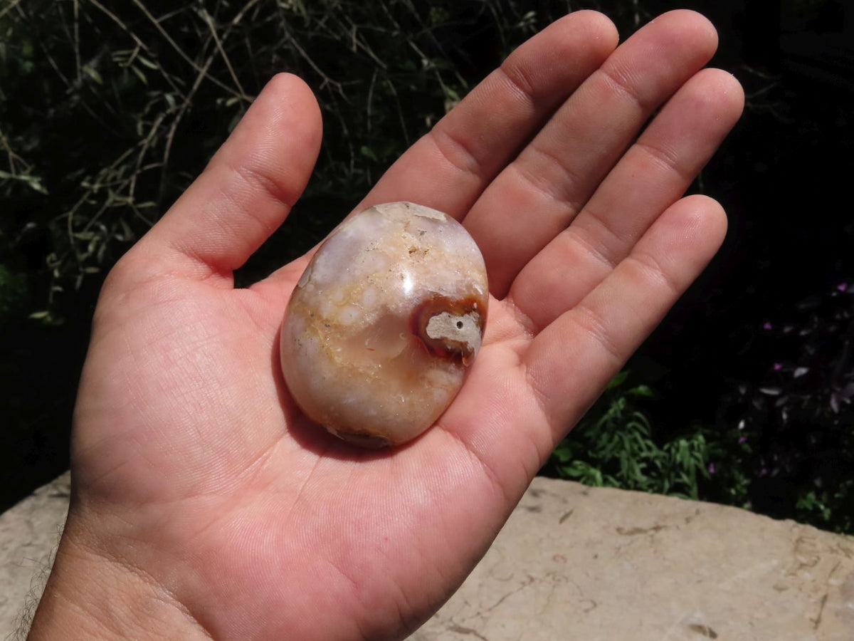 Polished Coral Flower Agate Gallets x 12 From Madagascar - TopRock