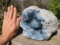 Natural Blue Celestite Geode Specimen x 1 From Sakoany, Madagascar - Toprock Gemstones and Minerals