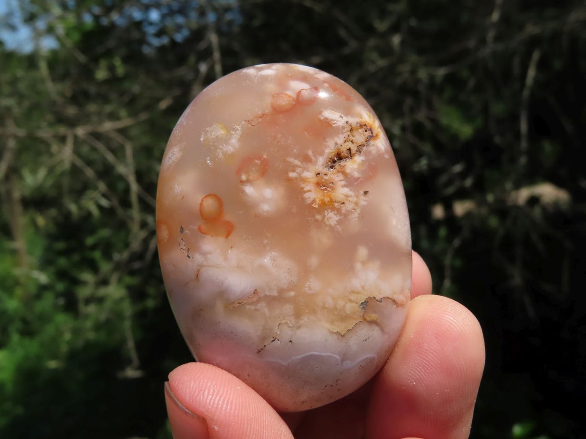 Polished Coral Flower Agate Gallets x 12 From Madagascar - TopRock