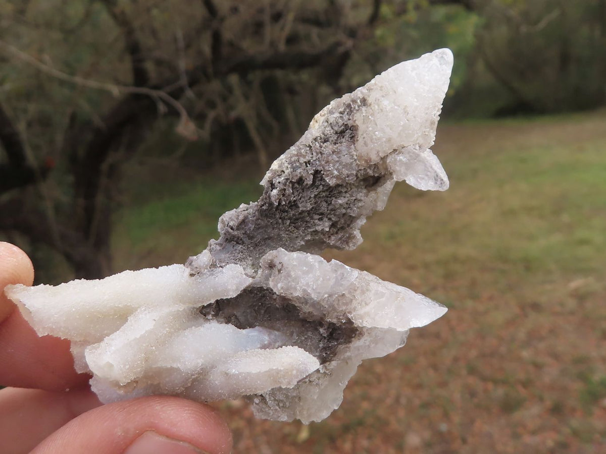 Natural Drusy Dog Tooth Calcite Pseudomorph Crystals x 35 From Alberts Mountain, Lesotho - TopRock