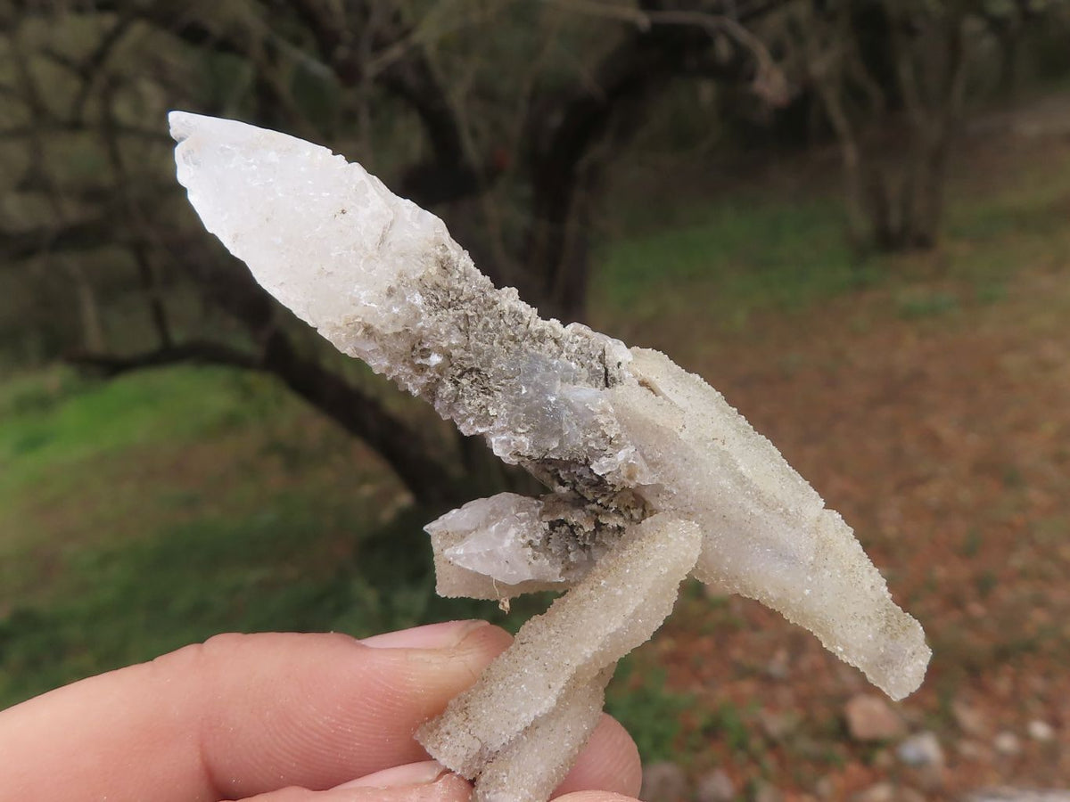 Natural Drusy Dog Tooth Calcite Pseudomorph Crystals x 35 From Alberts Mountain, Lesotho - TopRock