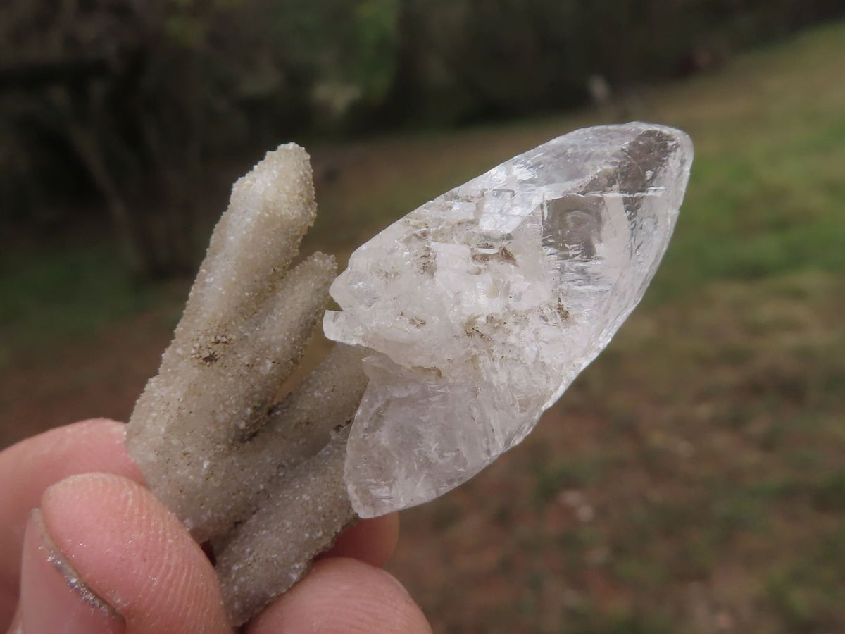 Natural Drusy Dog Tooth Calcite Pseudomorph Crystals x 35 From Alberts Mountain, Lesotho - TopRock
