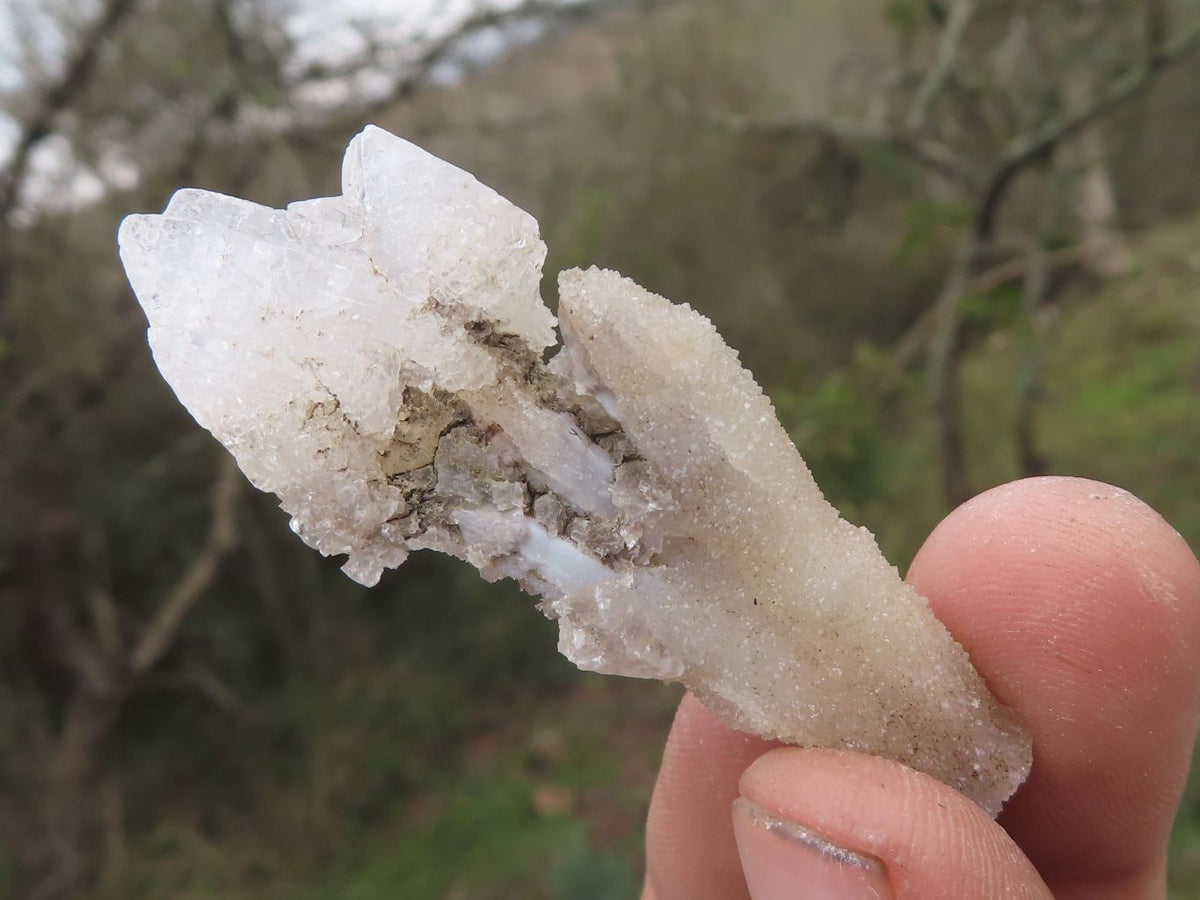 Natural Drusy Dog Tooth Calcite Pseudomorph Crystals x 35 From Alberts Mountain, Lesotho - TopRock