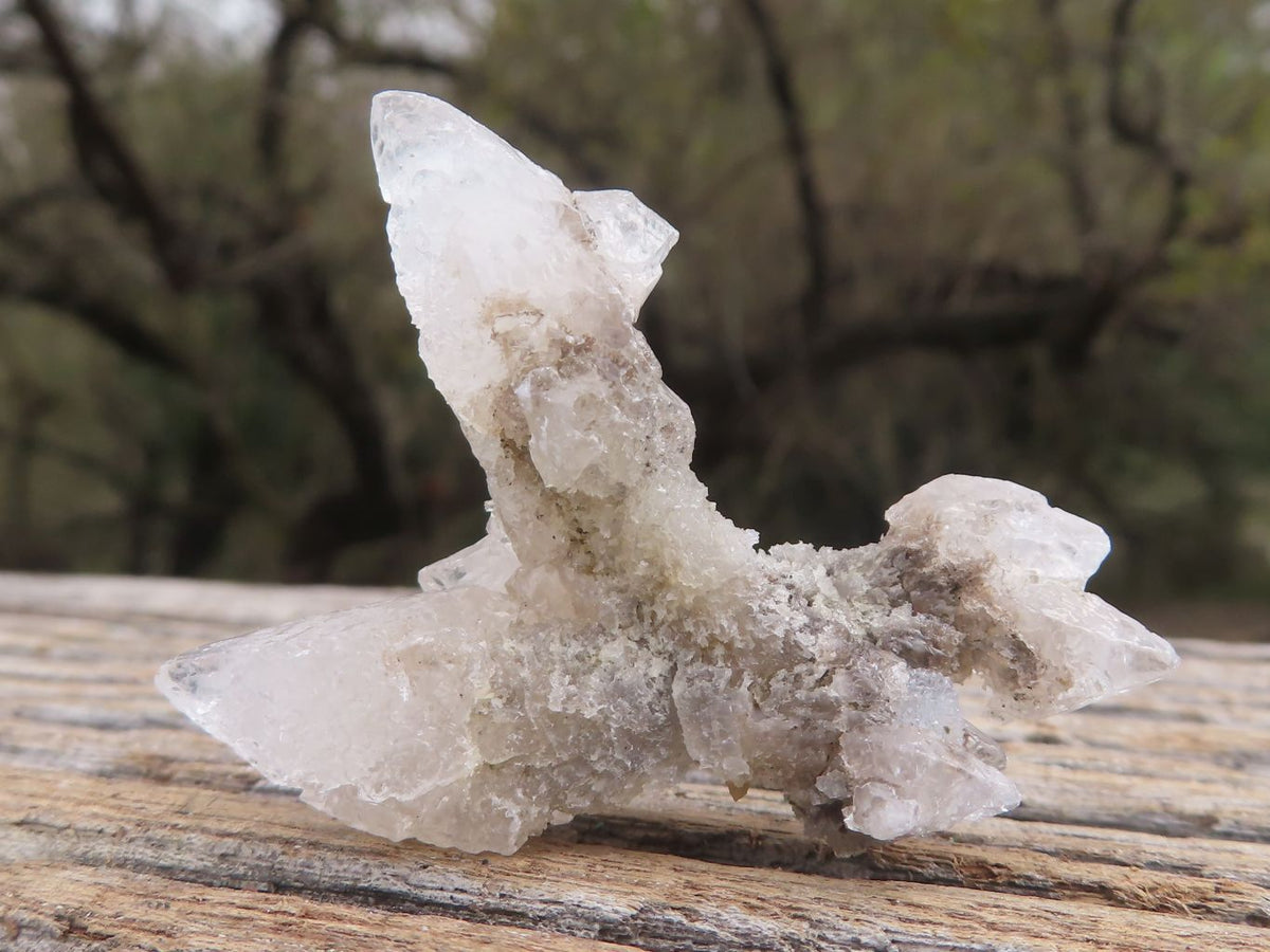 Natural Drusy Dog Tooth Calcite Pseudomorph Crystals x 35 From Alberts Mountain, Lesotho - TopRock