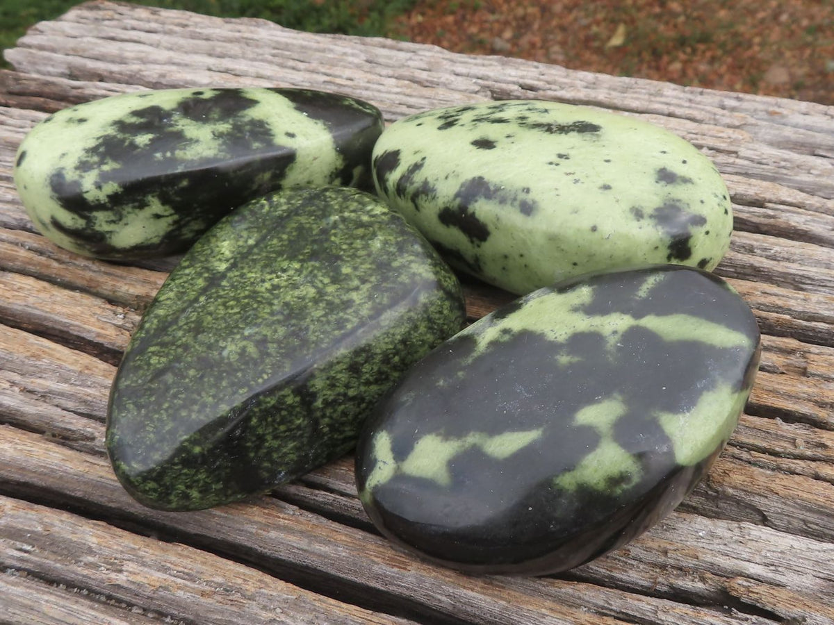 Polished Leopard Stone Free Forms x 5 From Zimbabwe - TopRock