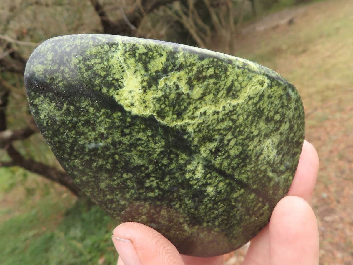 Polished Leopard Stone Free Forms x 5 From Zimbabwe - TopRock