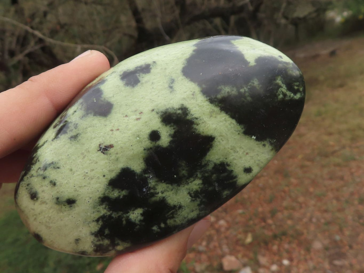 Polished Leopard Stone Free Forms x 5 From Zimbabwe - TopRock