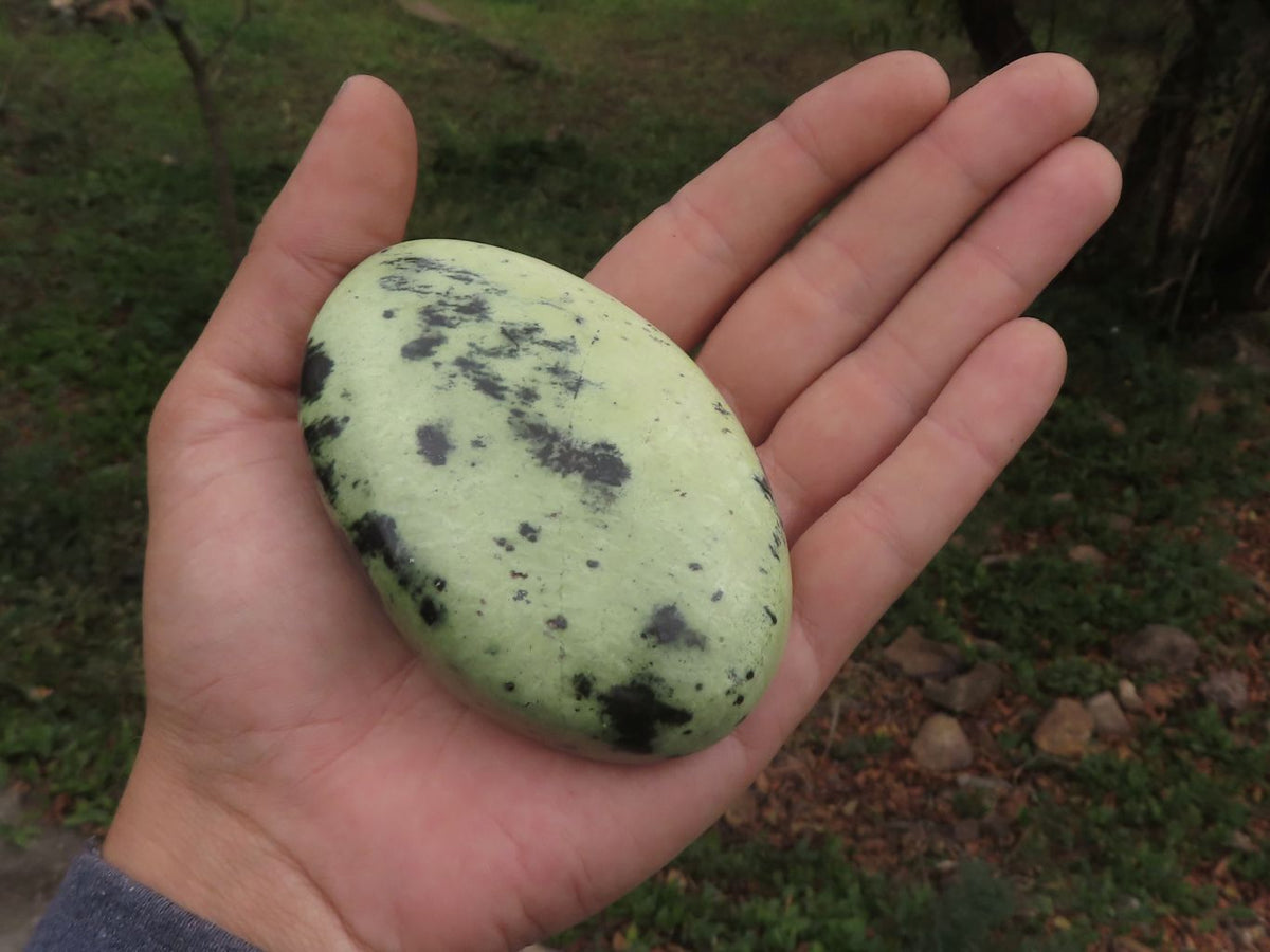 Polished Leopard Stone Free Forms x 5 From Zimbabwe - TopRock