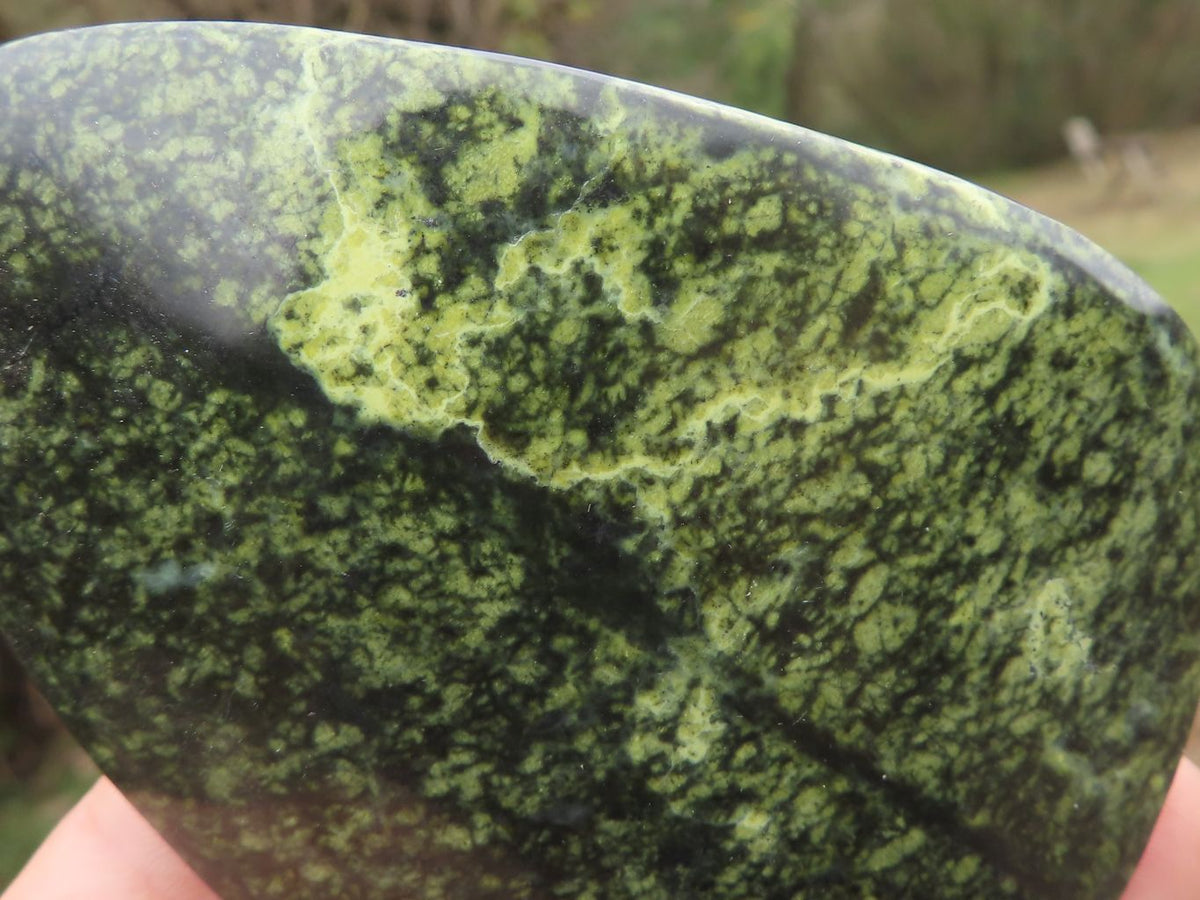 Polished Leopard Stone Free Forms x 5 From Zimbabwe - TopRock