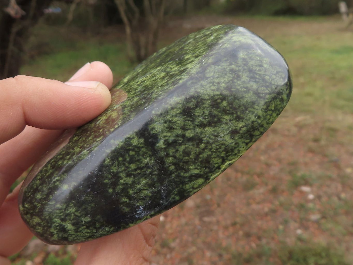 Polished Leopard Stone Free Forms x 5 From Zimbabwe - TopRock