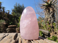 Polished Pink Rose Quartz Points & Standing Free Form x 3 From Antsirabe, Madagascar - Toprock Gemstones and Minerals