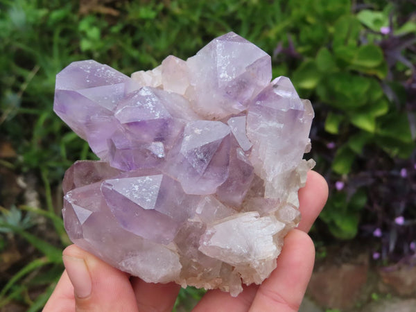Natural Amethyst Clusters x 2 From Zambia - TopRock