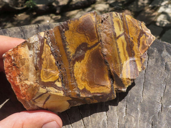 Natural Rough Nguni Jasper Cobbed Specimens  x 5 From Northern Cape, South Africa - TopRock