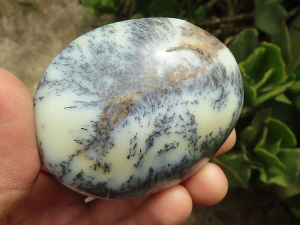 Polished White Dendritic Opal Palm Stones  x 7 From Madagascar - TopRock