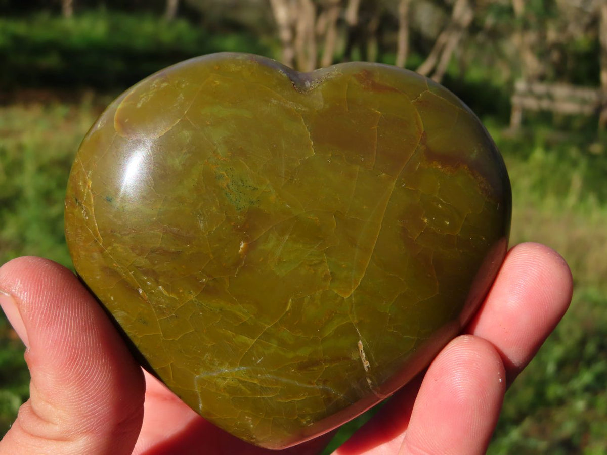 Polished Rich Darker Green Opal Hearts x 6 From Madagascar - TopRock