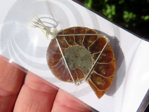 Polished Ammonite with Silver Wire Wrap Pendant  - sold per piece - From South Africa - TopRock