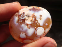 Polished Carnelian Agate Palm Stones  x 13 From Madagascar - Toprock Gemstones and Minerals