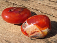 Polished Carnelian Agate Palm Stones  x 13 From Madagascar - Toprock Gemstones and Minerals