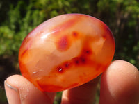 Polished Carnelian Agate Palm Stones  x 13 From Madagascar - Toprock Gemstones and Minerals