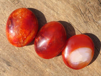 Polished Carnelian Agate Palm Stones  x 13 From Madagascar - Toprock Gemstones and Minerals