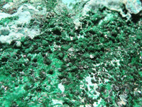 Natural Drusy Chrysocolla & Malachite Dolomite Specimens x 4 From Congo - Toprock Gemstones and Minerals