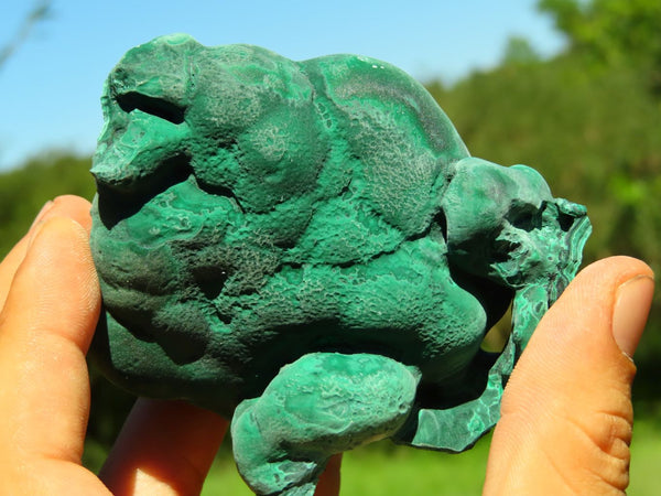 Natural Botryoidal Malachite Specimens x 3 From Congo - TopRock