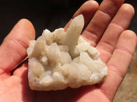 Natural White Spirit Quartz Clusters x 24 From Boekenhouthoek, South Africa - Toprock Gemstones and Minerals
