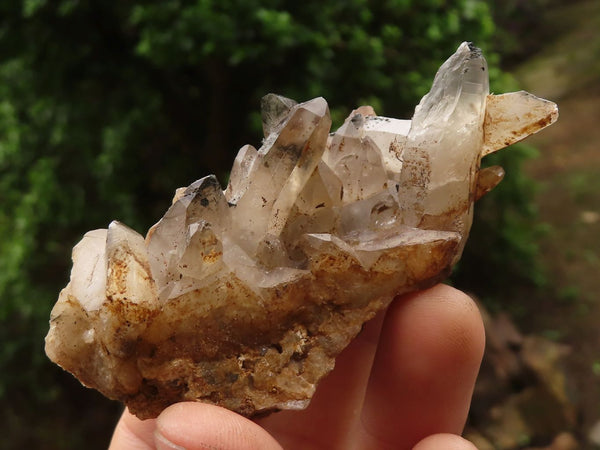 Natural Smokey Quartz Crystal Specimens  x 12 From Erongo Mountains, Namibia - TopRock