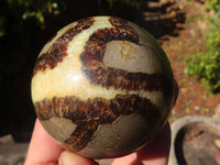 Polished Septerye (Calcite & Aragonite) Spheres x 6 From Mahajanga, Madagascar - Toprock Gemstones and Minerals