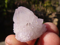 Natural Mixed Spirit Quartz Crystals x 71 From Boekenhouthoek, South Africa - Toprock Gemstones and Minerals