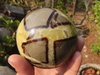 Polished Septaria Spheres x 3 From Madagascar - Toprock Gemstones and Minerals