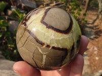 Polished Septaria Spheres x 3 From Madagascar - Toprock Gemstones and Minerals