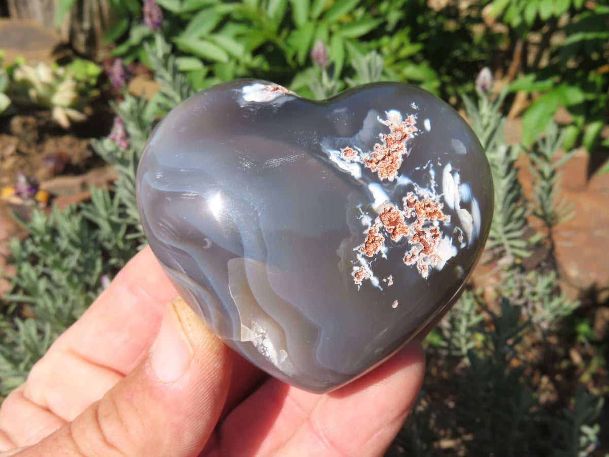 Polished Agate Hearts x 6 From Madagascar - TopRock