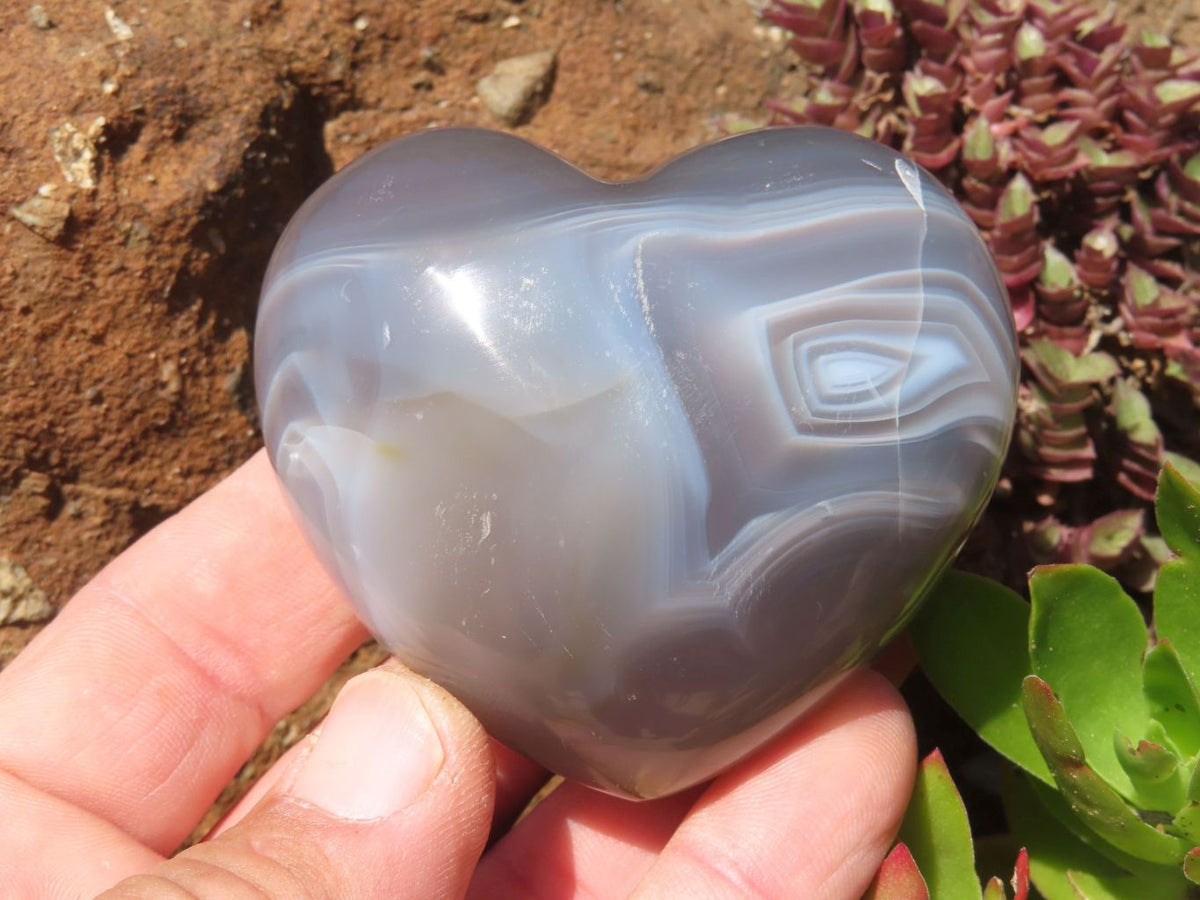 Polished Agate Hearts x 6 From Madagascar - TopRock