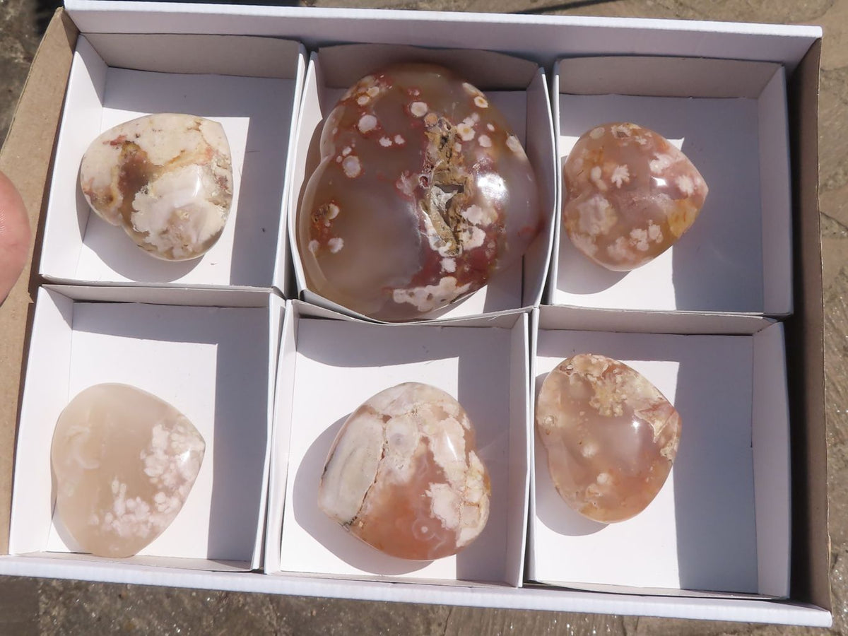 Polished Beautiful Coral Flower Agate Hearts x 6 From Madagascar - TopRock