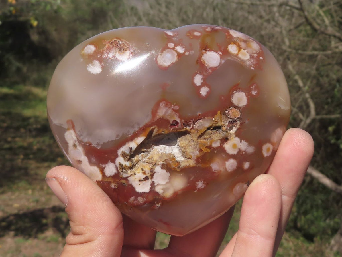 Polished Beautiful Coral Flower Agate Hearts x 6 From Madagascar - TopRock