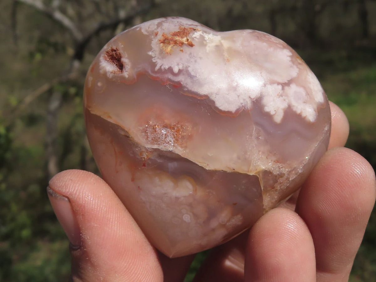 Polished Beautiful Coral Flower Agate Hearts x 6 From Madagascar - TopRock