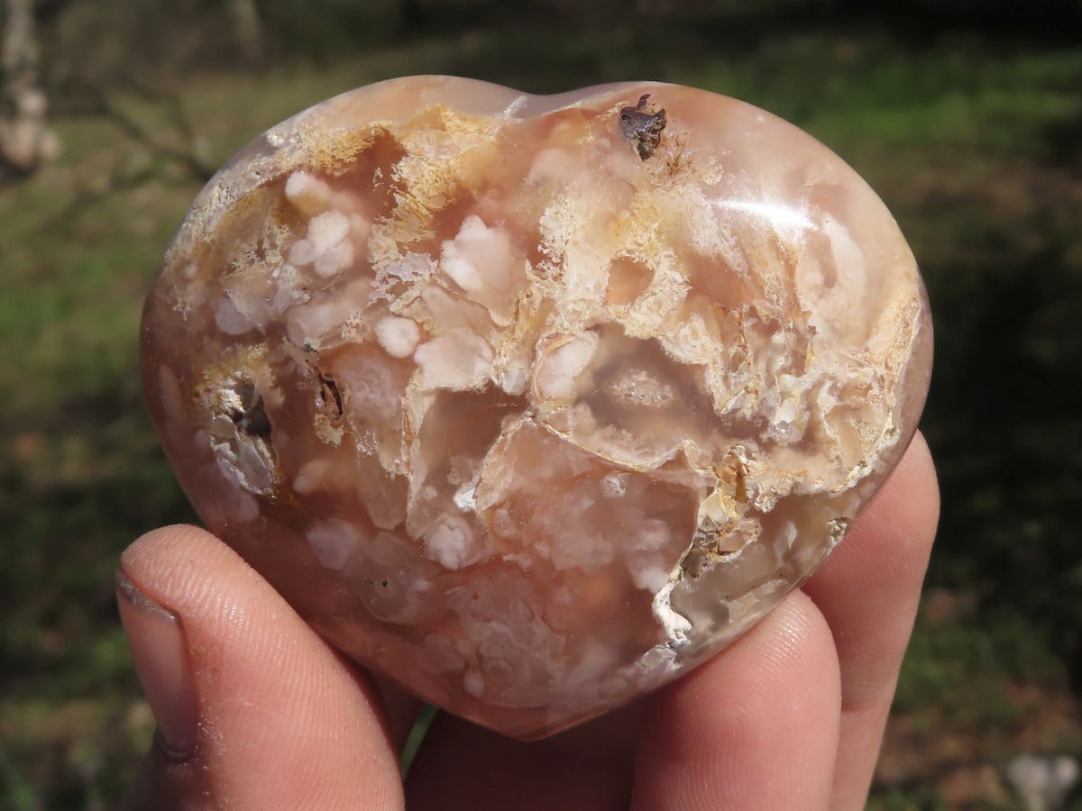 Polished Beautiful Coral Flower Agate Hearts x 6 From Madagascar - TopRock