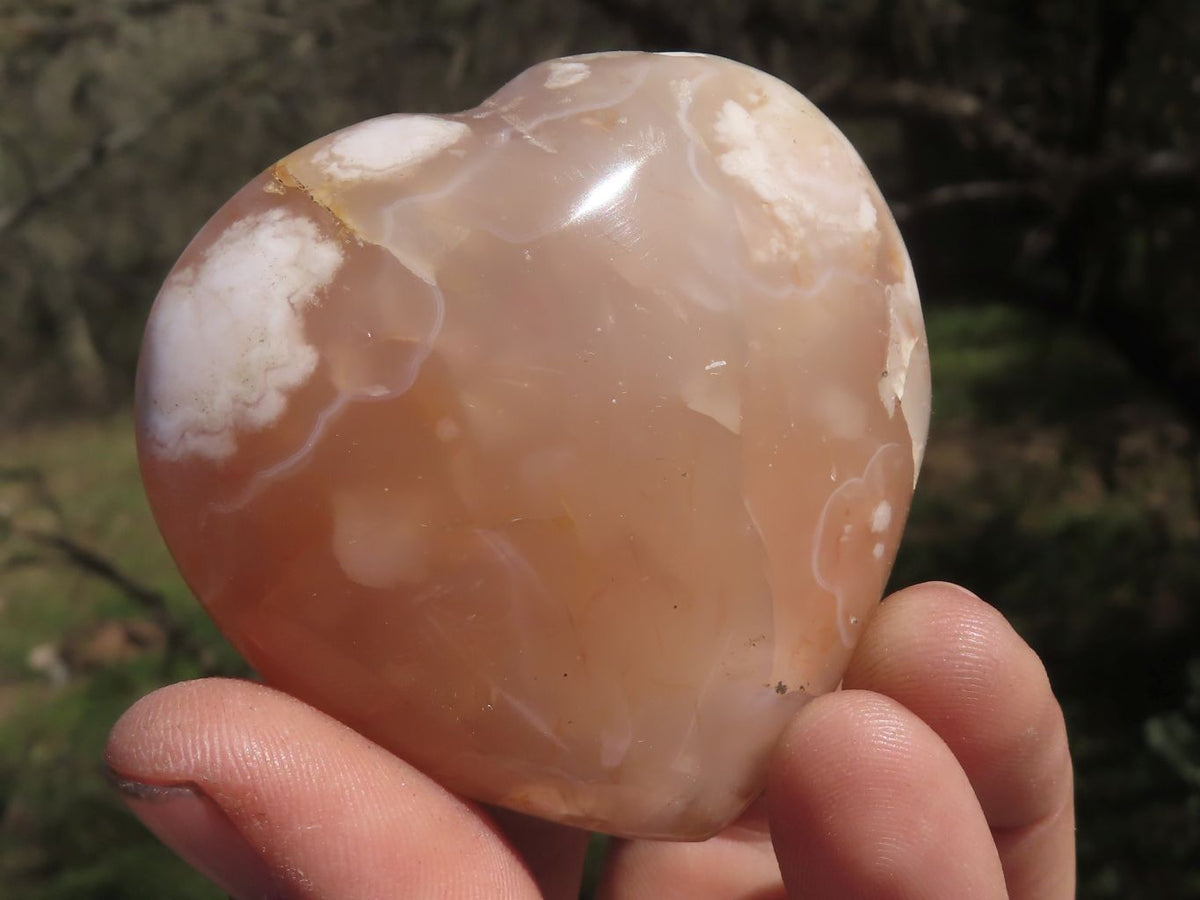 Polished Beautiful Coral Flower Agate Hearts x 6 From Madagascar - TopRock