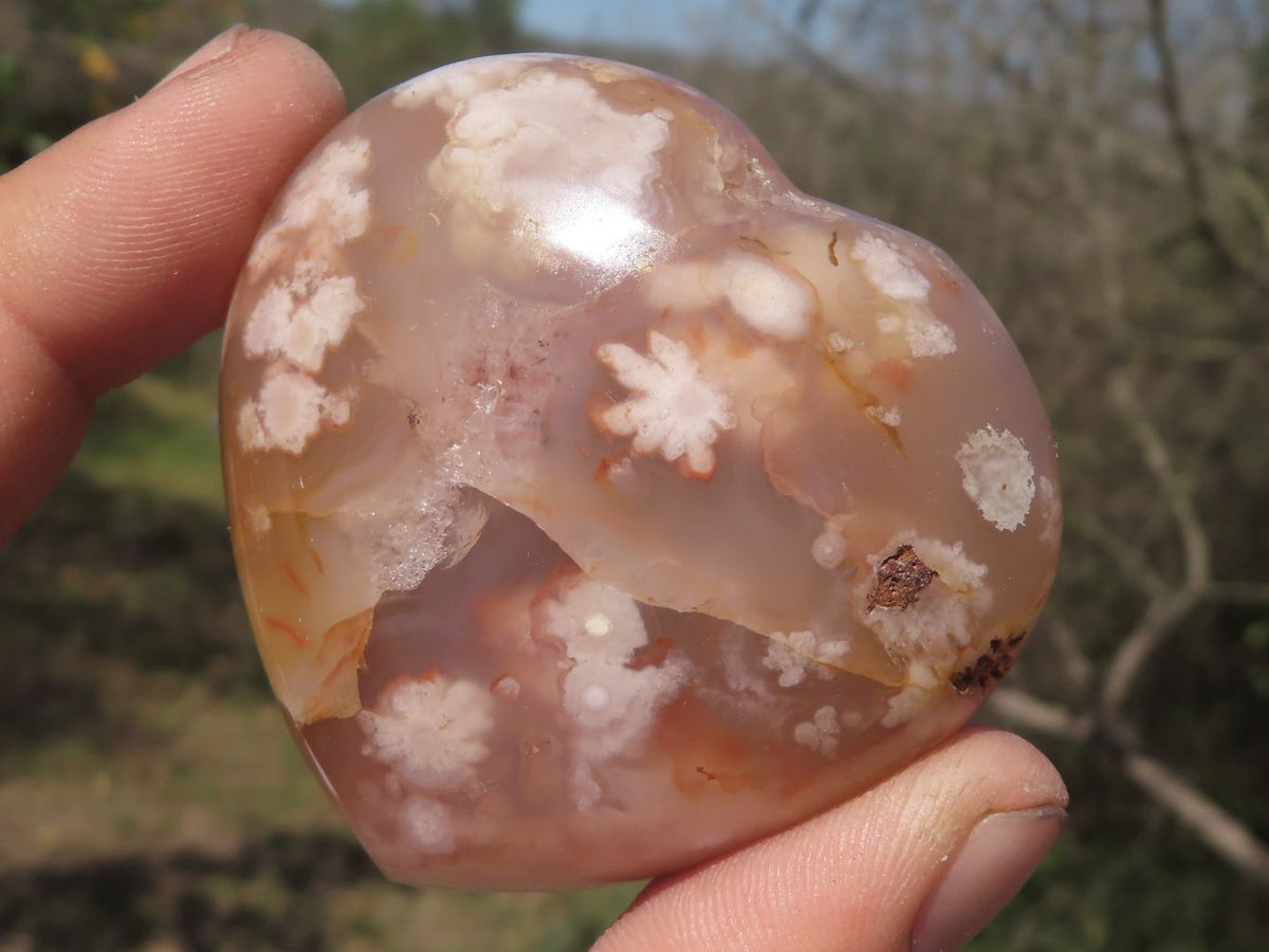 Polished Beautiful Coral Flower Agate Hearts x 6 From Madagascar - TopRock