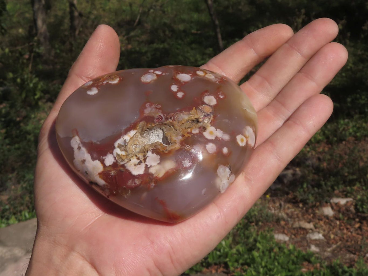 Polished Beautiful Coral Flower Agate Hearts x 6 From Madagascar - TopRock