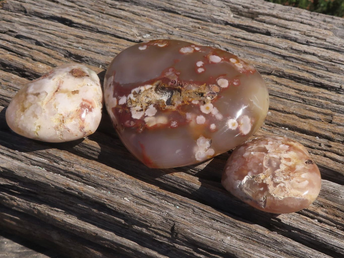 Polished Beautiful Coral Flower Agate Hearts x 6 From Madagascar - TopRock