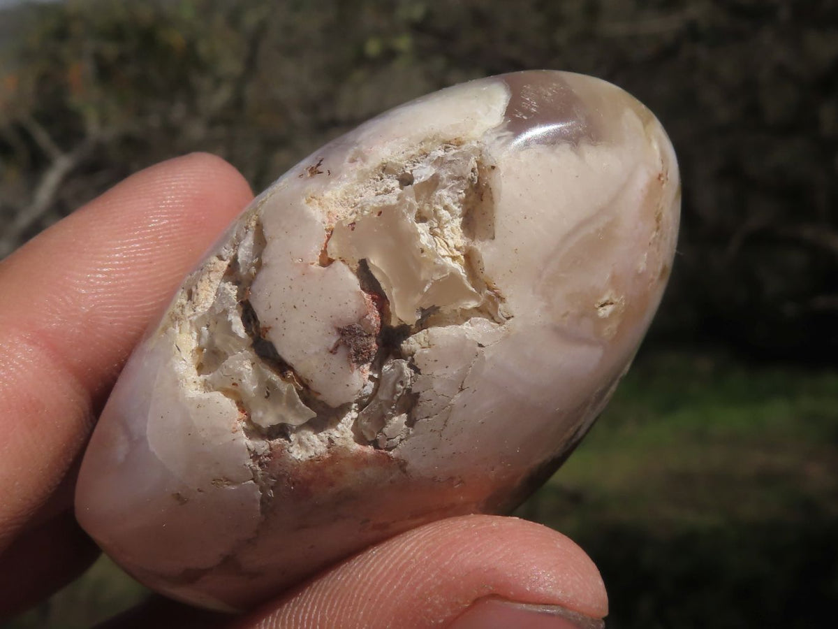 Polished Beautiful Coral Flower Agate Hearts x 6 From Madagascar - TopRock