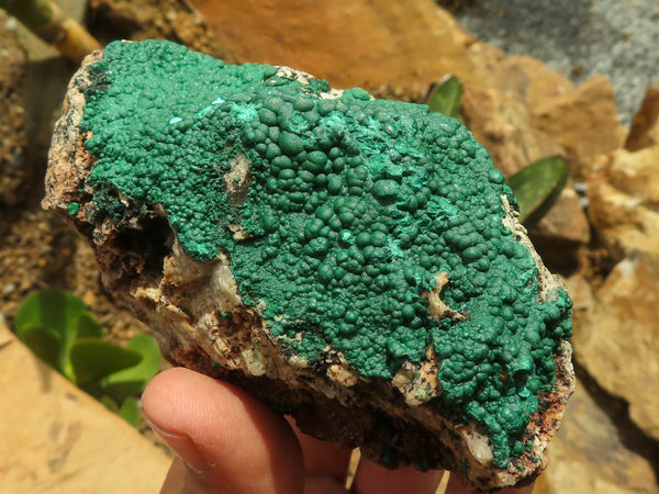 Natural Micro Botryoidal Crystalline Malachite Specimens  x 6 From Tenke Fungurume, Congo - TopRock
