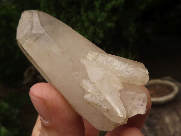 Natural Single Quartz Crystals  x 25 From Madagascar - TopRock