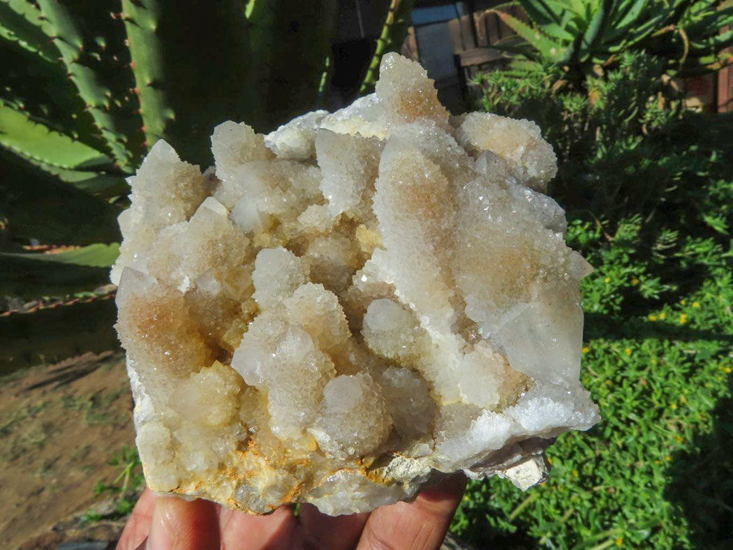 Natural Drusy Coated Unique Spirit Quartz In Cactus Flower & Fairy Finger Drusy Formations x 2 From Boekenhouthoek, South Africa - TopRock