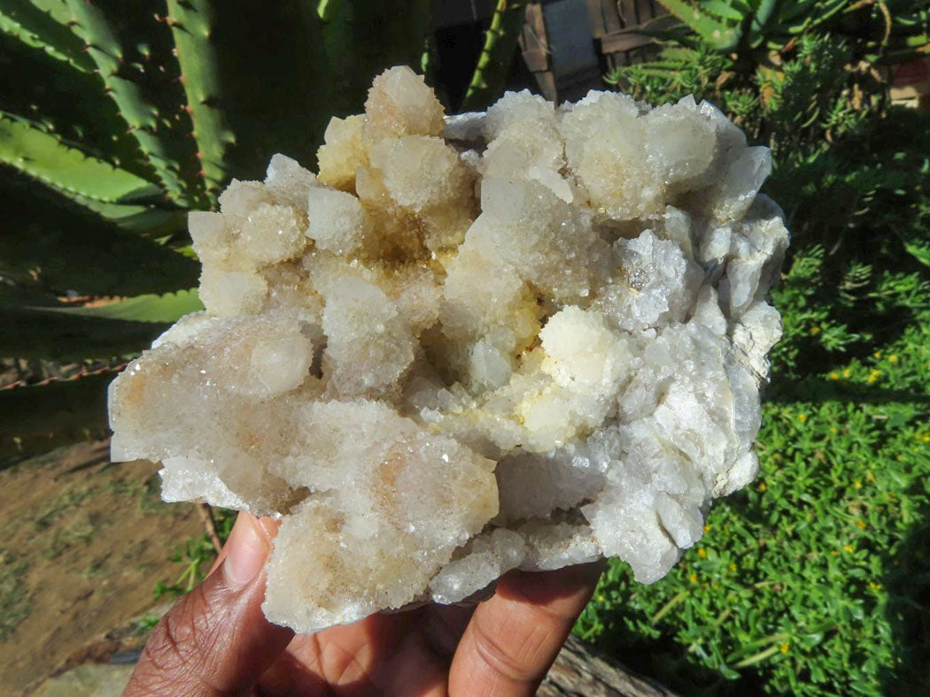 Natural Drusy Coated Unique Spirit Quartz In Cactus Flower & Fairy Finger Drusy Formations x 2 From Boekenhouthoek, South Africa - TopRock