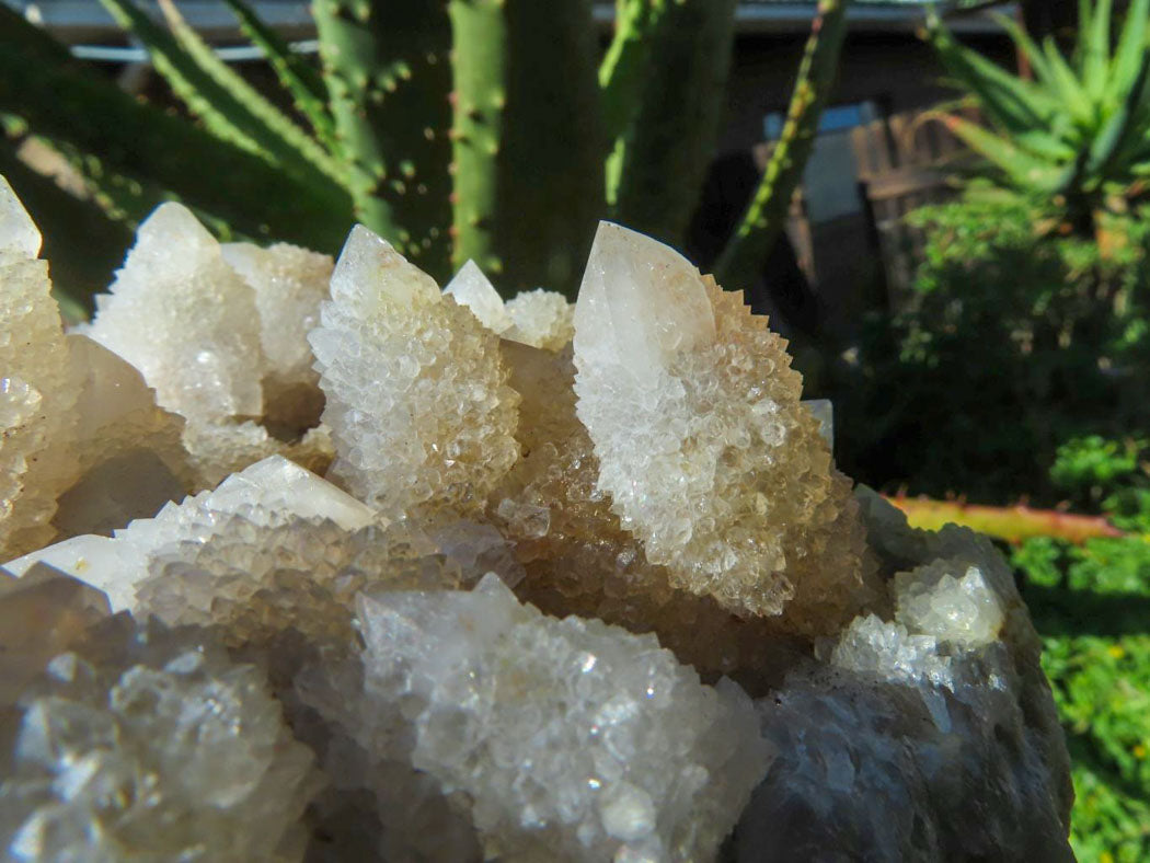 Natural Drusy Coated Unique Spirit Quartz In Cactus Flower & Fairy Finger Drusy Formations x 2 From Boekenhouthoek, South Africa - TopRock