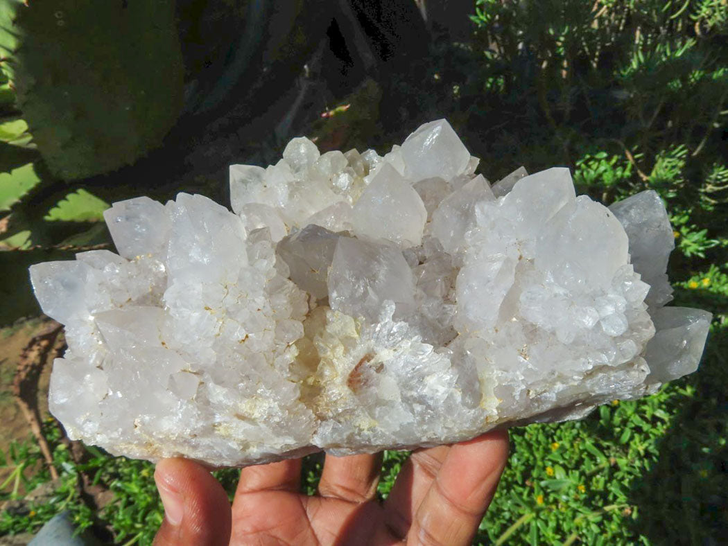 Natural Drusy Coated Unique Spirit Quartz In Cactus Flower & Fairy Finger Drusy Formations x 2 From Boekenhouthoek, South Africa - TopRock