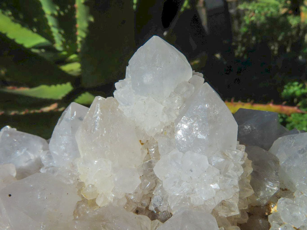 Natural Drusy Coated Unique Spirit Quartz In Cactus Flower & Fairy Finger Drusy Formations x 2 From Boekenhouthoek, South Africa - TopRock